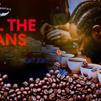 Spill the Beans with Intelligentsia Coffee on Virgin Voyages cruise ships