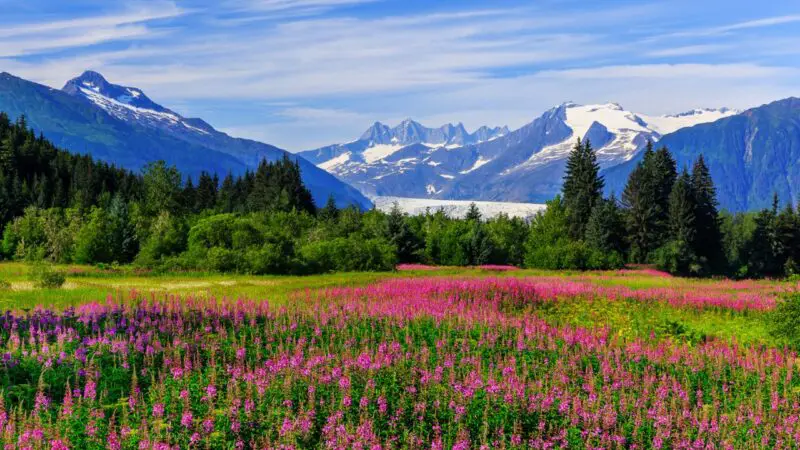 Seattle, Juneau & Canadian Coasts