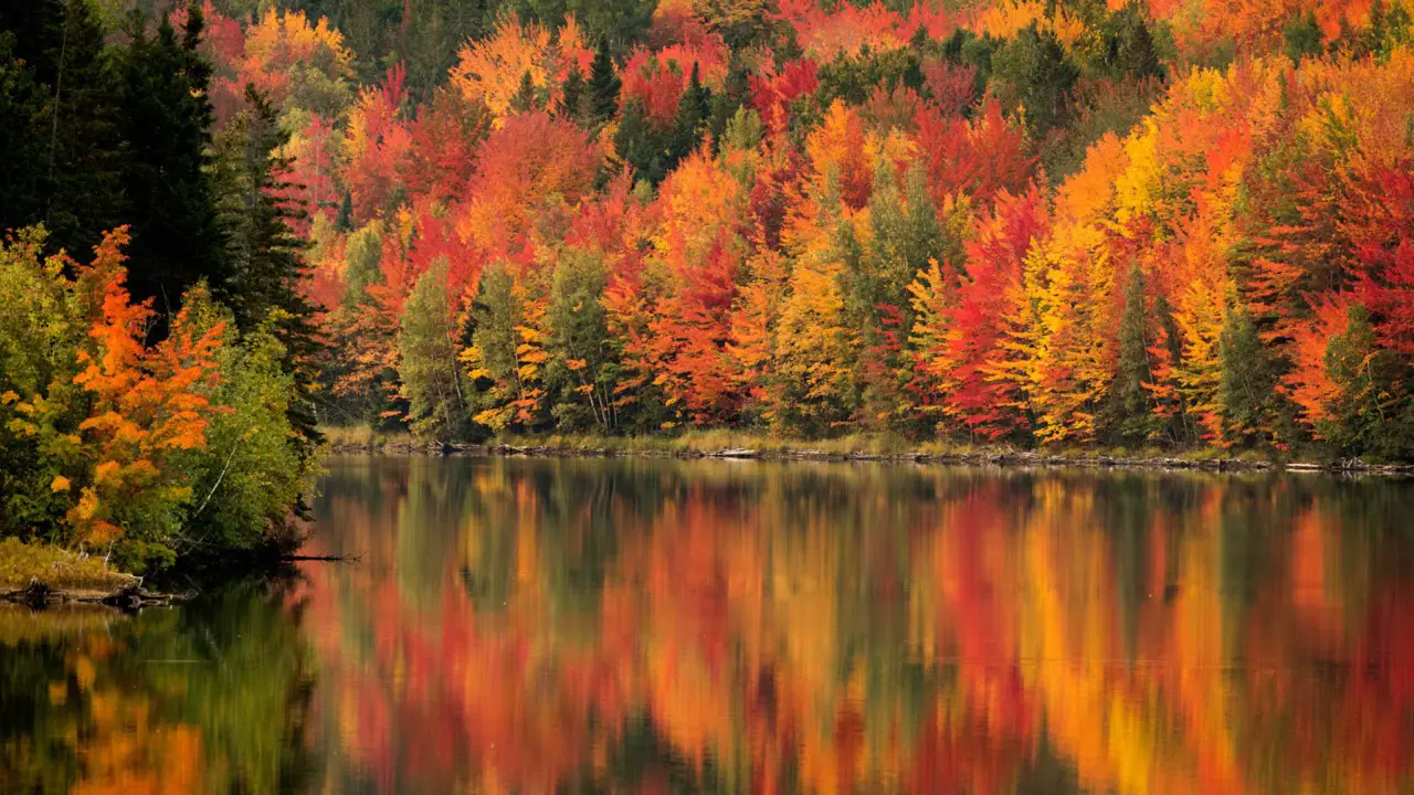 Fall Leaves to Miami Scenes | Brilliant Lady | 3 October 2025