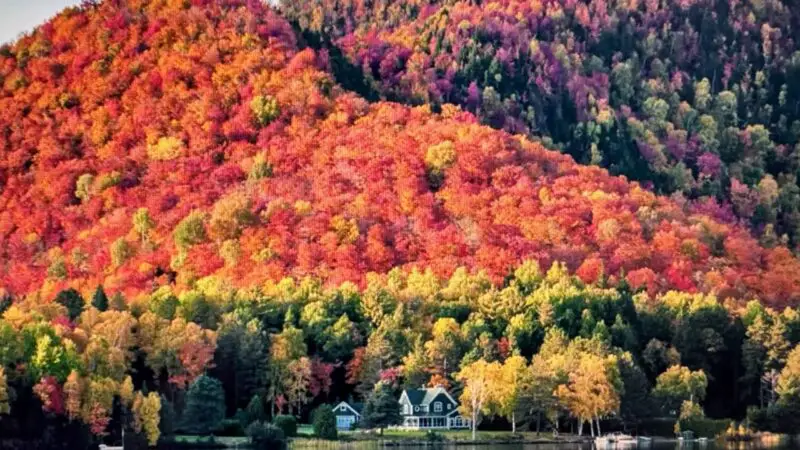 Autumn Leaves: New York to Quebec | Brilliant Lady | 23 September 2025