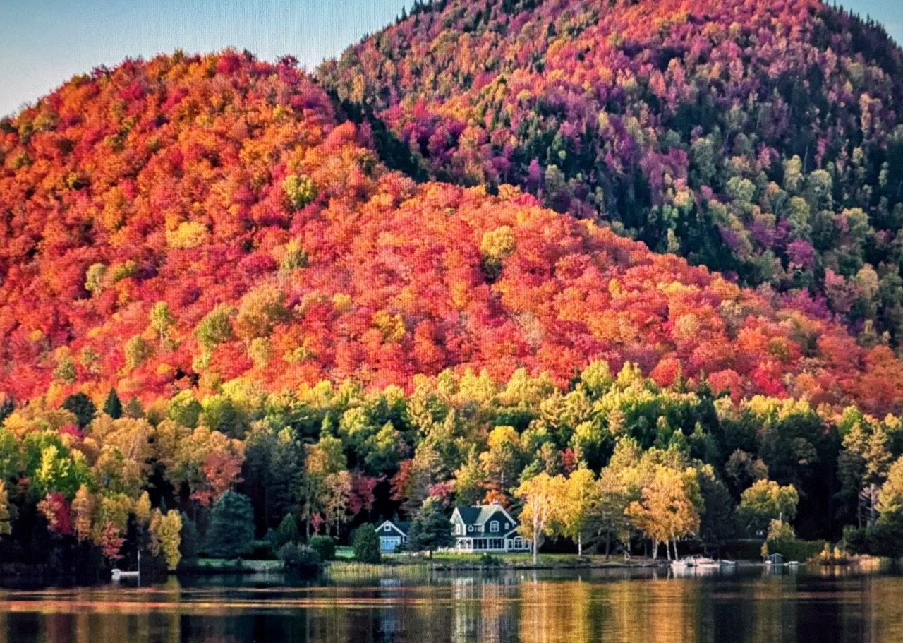 Autumn Leaves: New York to Quebec | Brilliant Lady | 23 September 2025