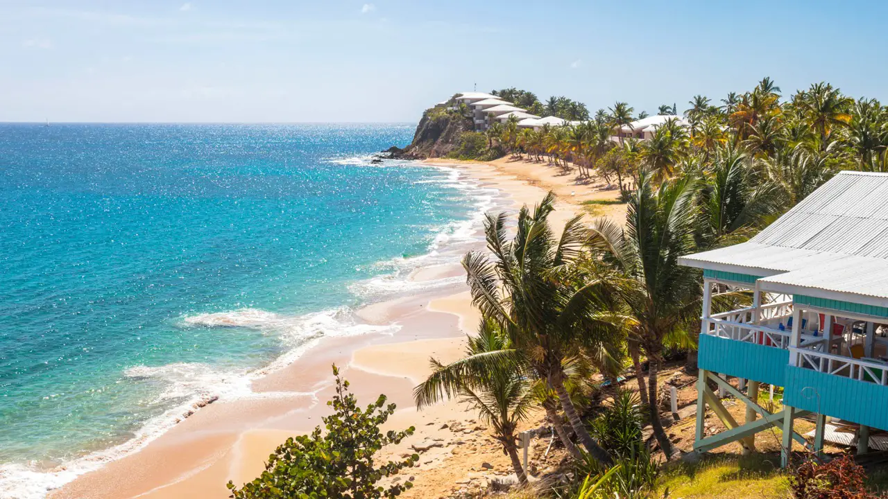 St. Kitts, Barbados, Martinique & More | Valiant Lady | 17 January 2026