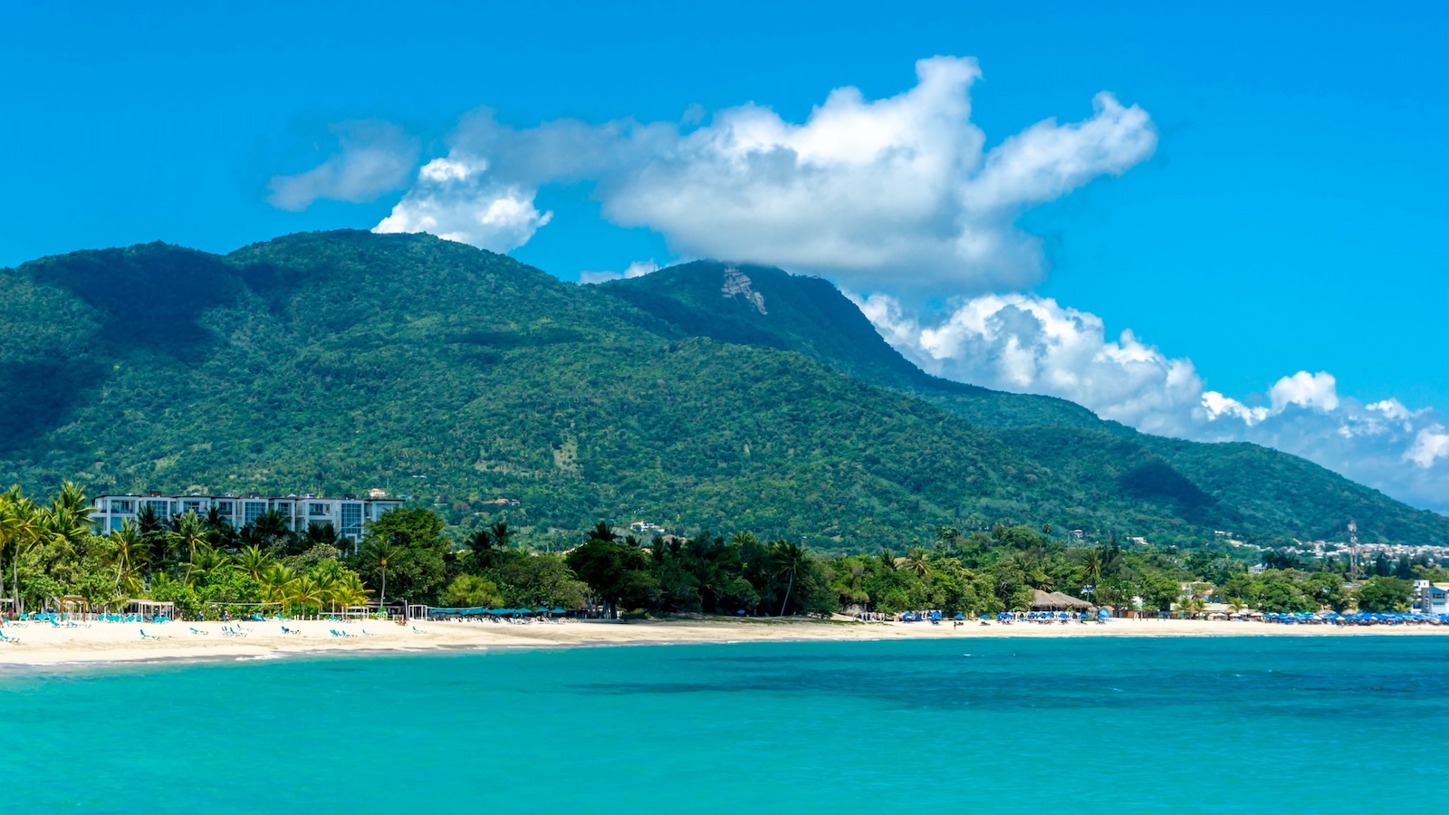 Dominican Daze Valiant Lady 31 January 2025 dominican-daze-valiant-lady-31-january-2025