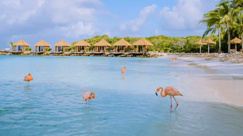 Aruba