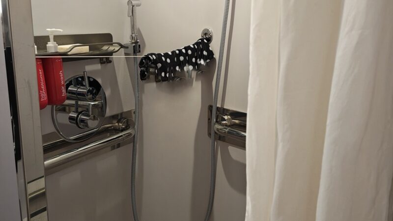 8022A additional grab rails in shower