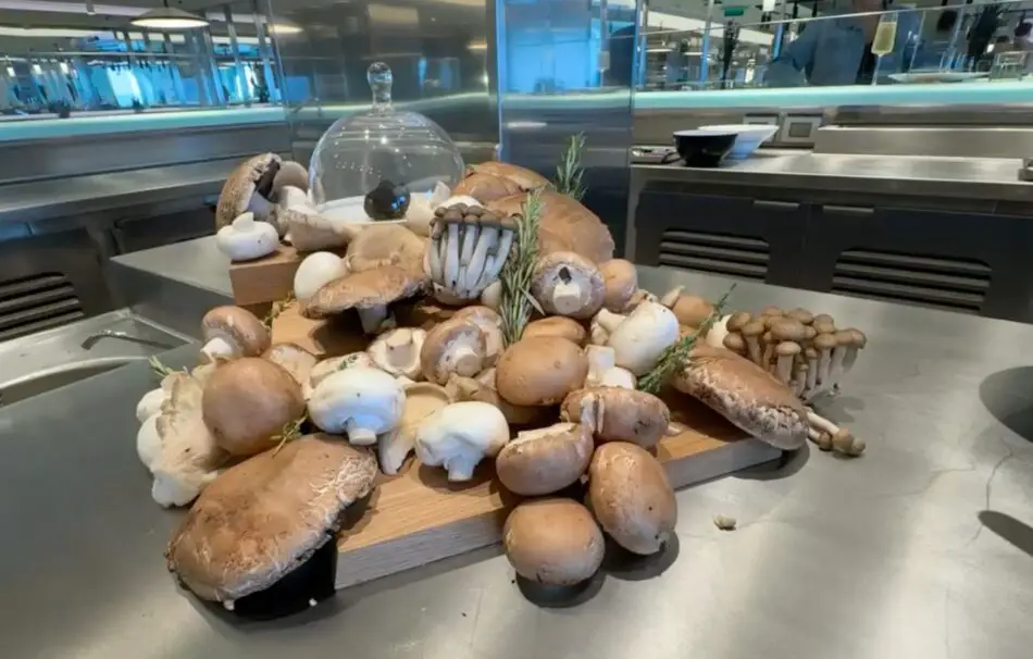 Pile of mushrooms and bread loaves on a wooden board in a ship galley