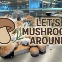 Let's Mushroom Around on Virgin Voyages cruise ships