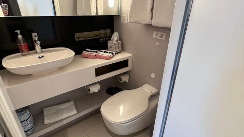 Cruise ship cabin bathroom with a sink, large mirror, toilet, and towels.