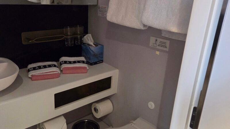 Cruise ship cabin bathroom featuring a toilet, towels hanging on a rack, and a countertop with toiletries.