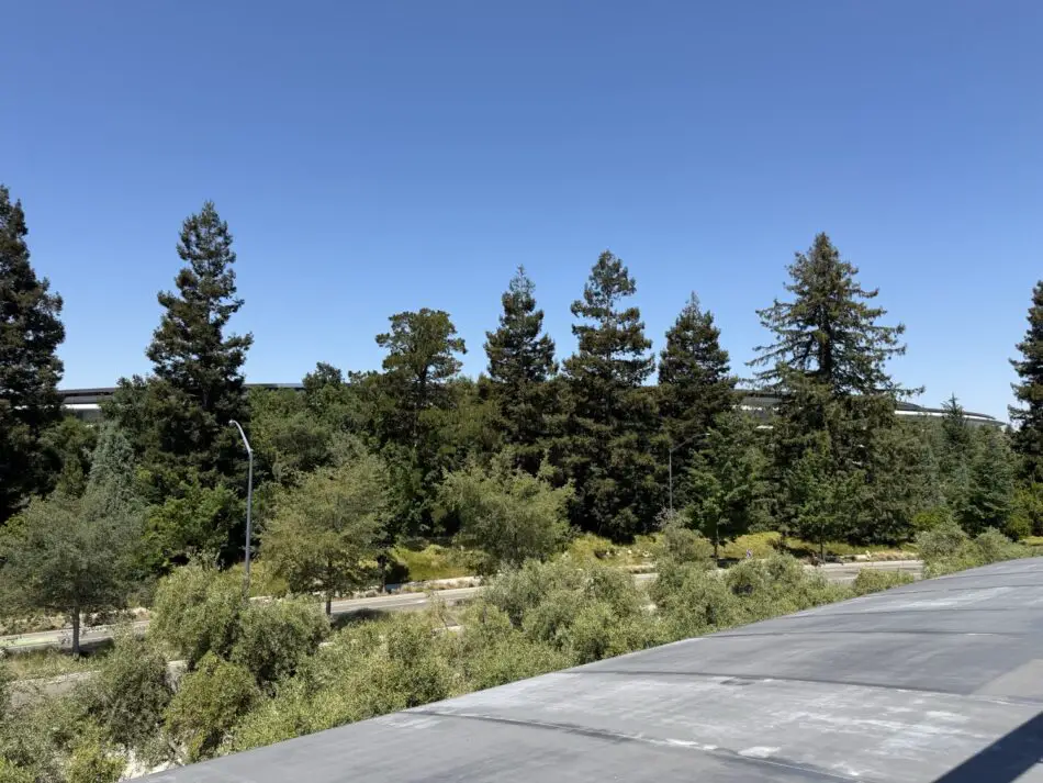 Tree-lined road beside a forest under a clear blue sky viewed from a rooftop