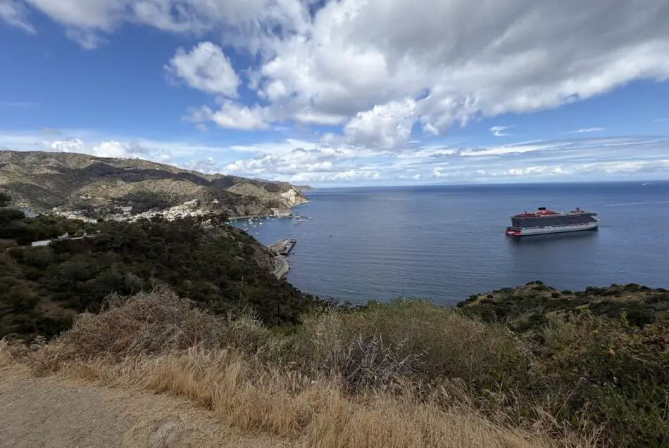 Coastal hillside town with a cruise ship offshore