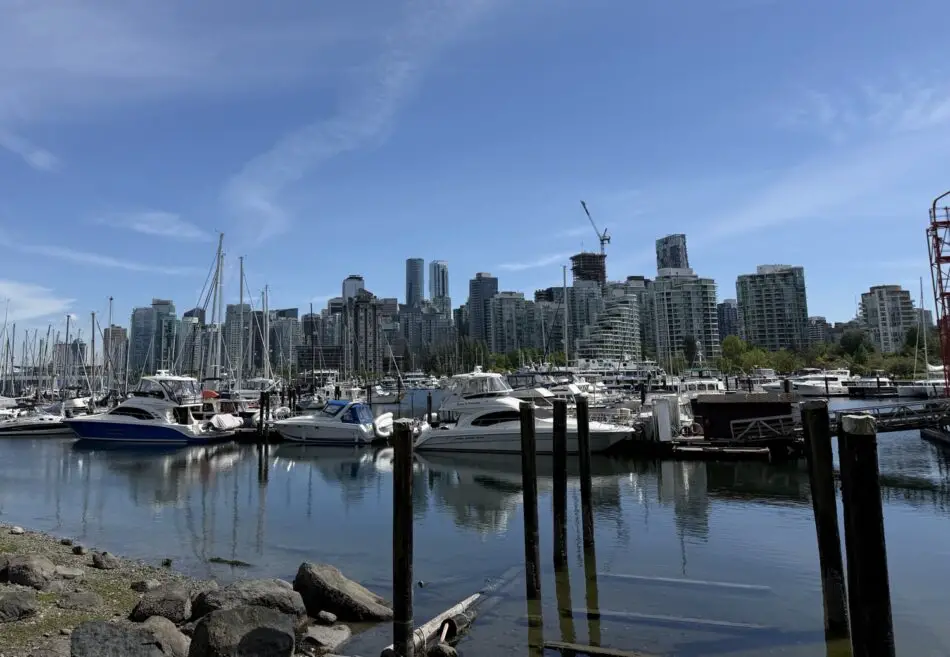 Marina filled with boats and a high-rise city skyline
