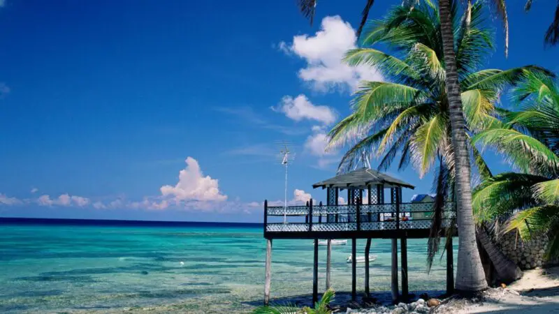 Western Caribbean & Bimini Beach Club | Resilient Lady | 1 November 2026