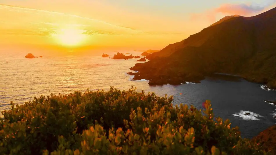 A vibrant sunset over an ocean vista with rugged cliffs and foreground foliage.