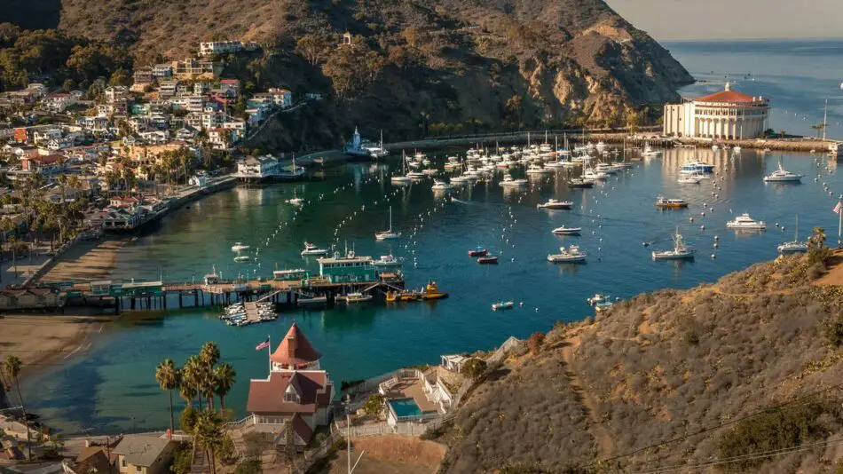 Scenic harbor view with numerous moored boats, surrounded by hills and a coastal town.