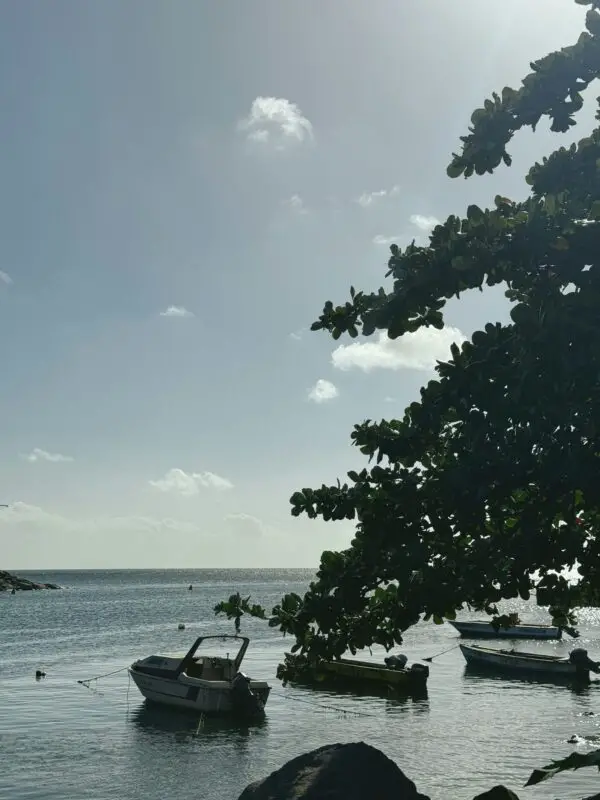 Small boats moored off Basseterre, St Kitts