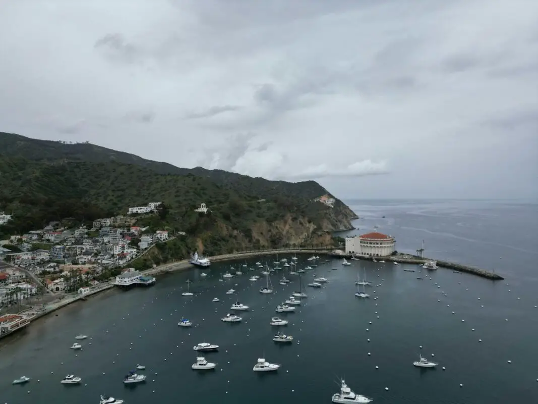 Avalon harbour on Catalina Island, California