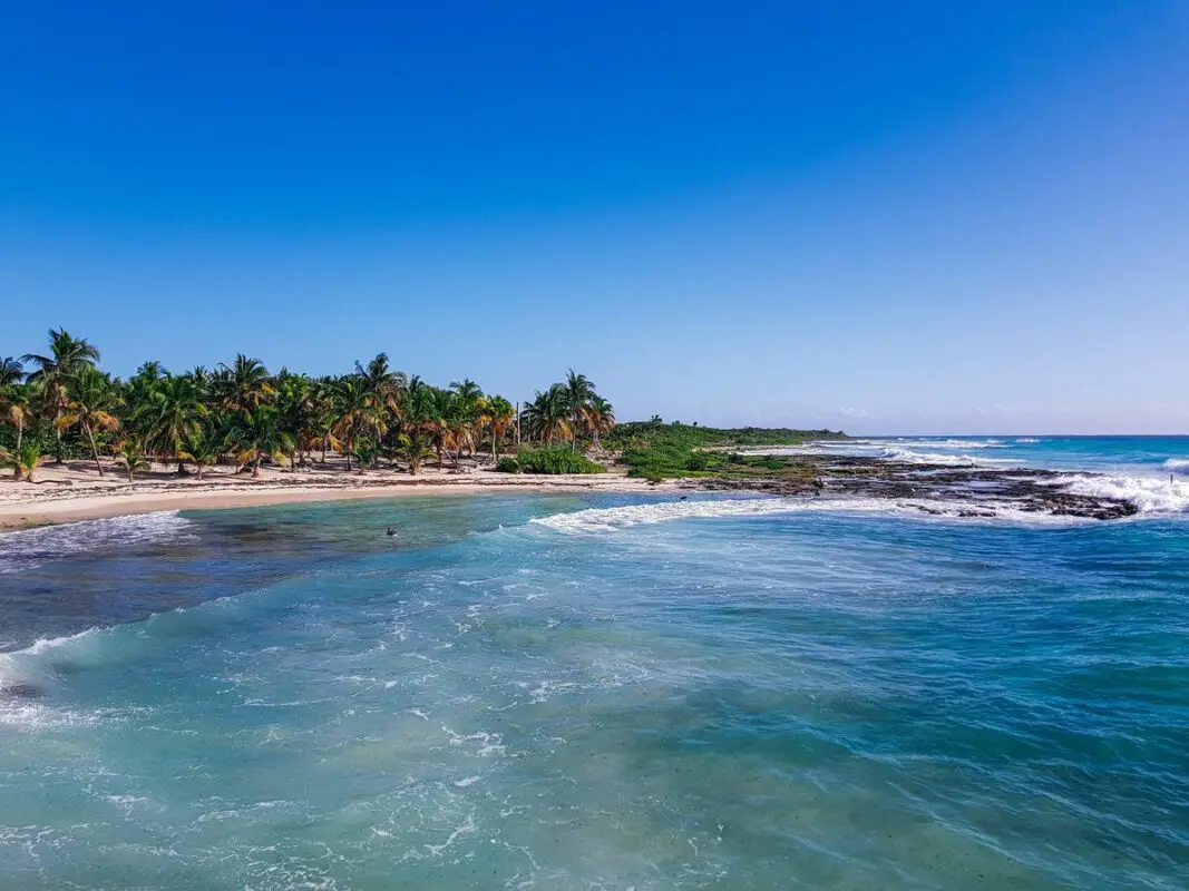 Palm-lined coast at Costa Maya, Mahahual, Mexico