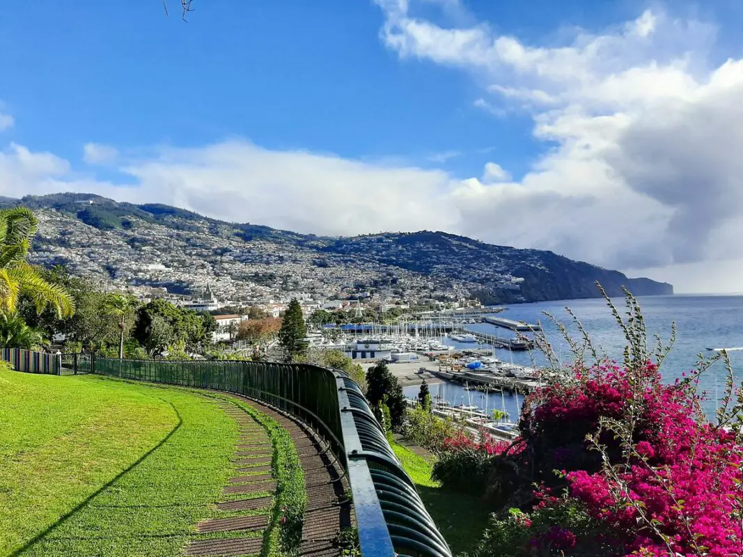 Funchal harbour and hillside viewed from a garden on Madeira