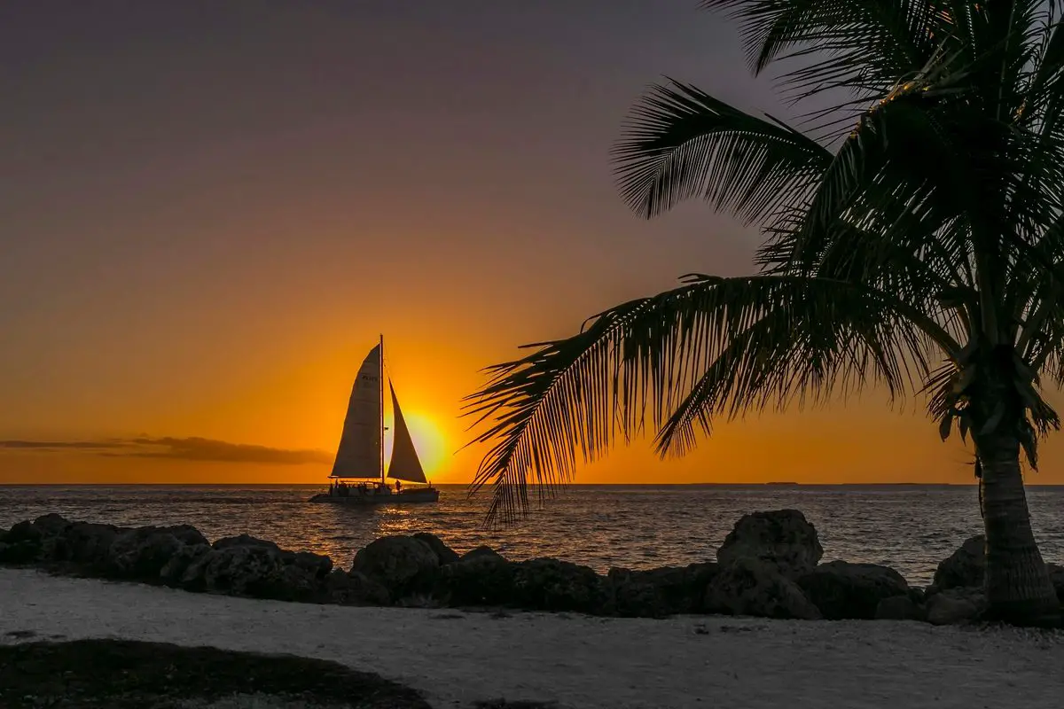 Sailboat off Key West at sunset, framed by a palm tree