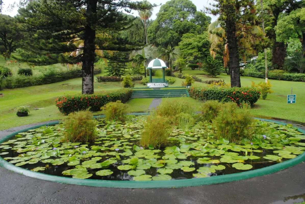Botanical gardens in Kingstown, St Vincent and the Grenadines