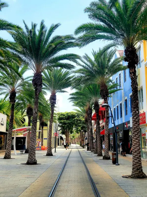 Palm-lined shopping street in downtown Oranjestad, Aruba