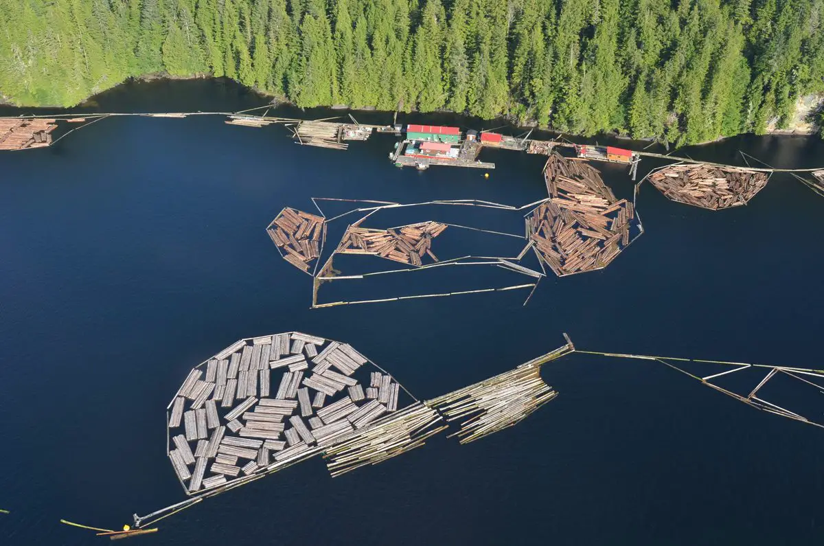 Coastal timber booms near Prince Rupert, British Columbia