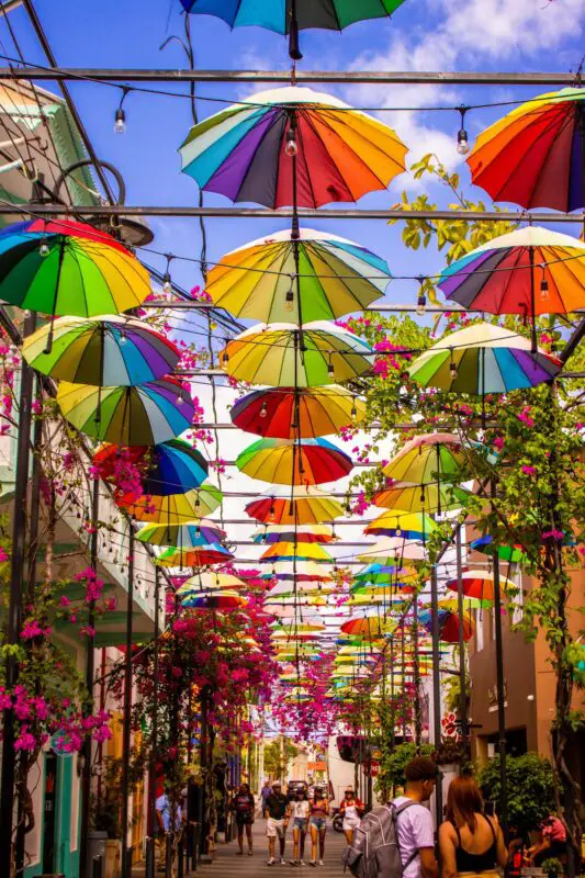 Colourful umbrellas above a street in Puerto Plata