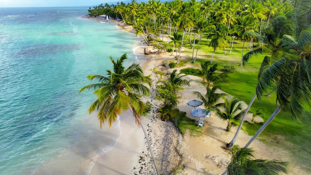 Palm-lined beach in Samaná, Dominican Republic